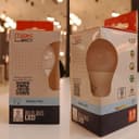 Lâmpada LED Bulbo 9W E27 MakLed 6500K Branco Frio Bivolt 810lm Econômica